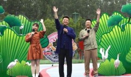 海灯节最新剧情爆料视频,神秘传说揭开，命运交织的奇幻冒险